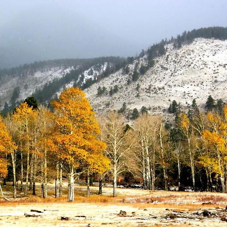 New Listing 2Br 2Ba Condo - Mountain Views Aspen Bagian luar foto