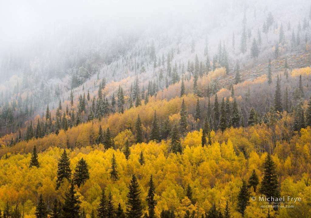 New Listing 2Br 2Ba Condo - Mountain Views Aspen Bagian luar foto