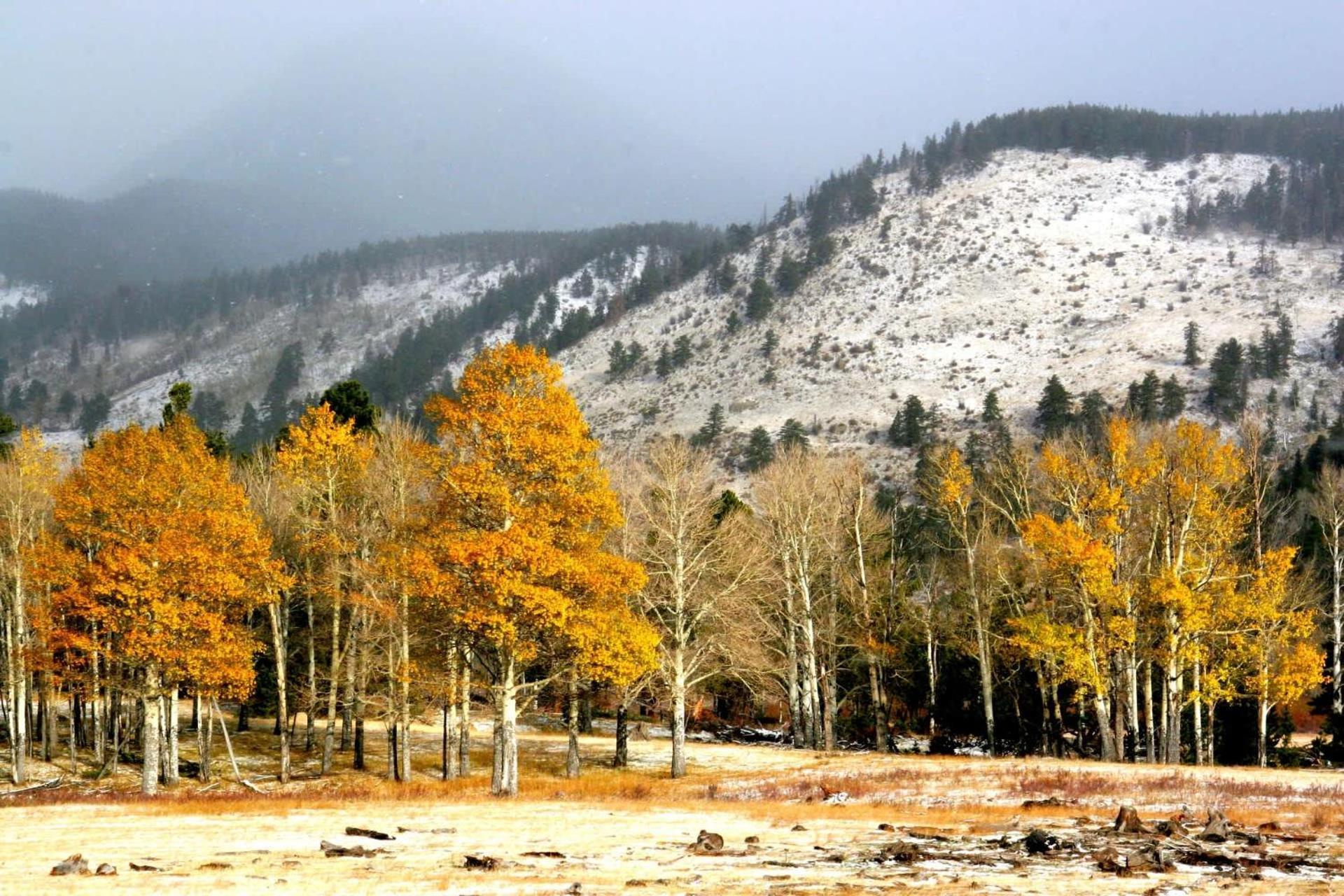 New Listing 2Br 2Ba Condo - Mountain Views Aspen Bagian luar foto