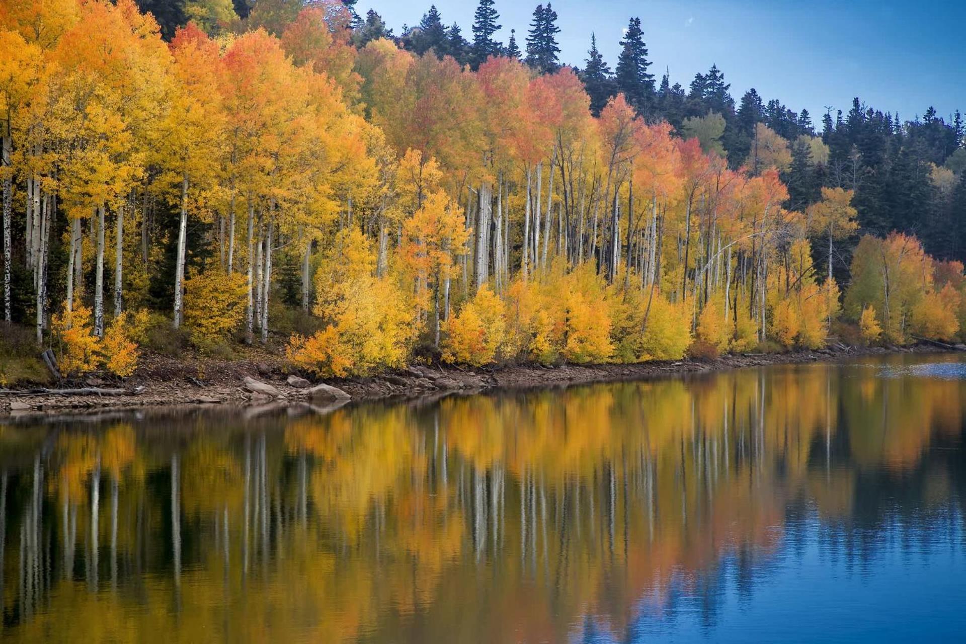 New Listing 2Br 2Ba Condo - Mountain Views Aspen Bagian luar foto